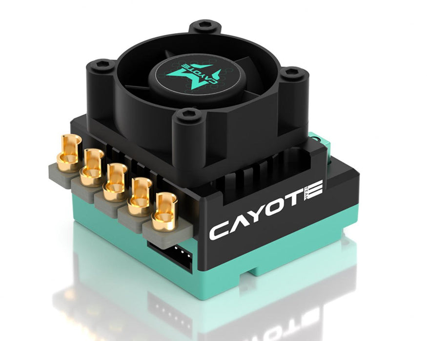 Cayote CYEA11003 Crest RS80 1/10 Stock 80A Sensored Brushless Competition ESC