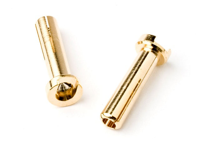 18mm 4mm Bullet Male Connectors (pr)